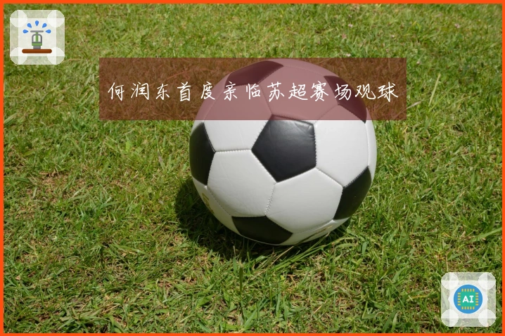 何润东首度亲临苏超赛场观球